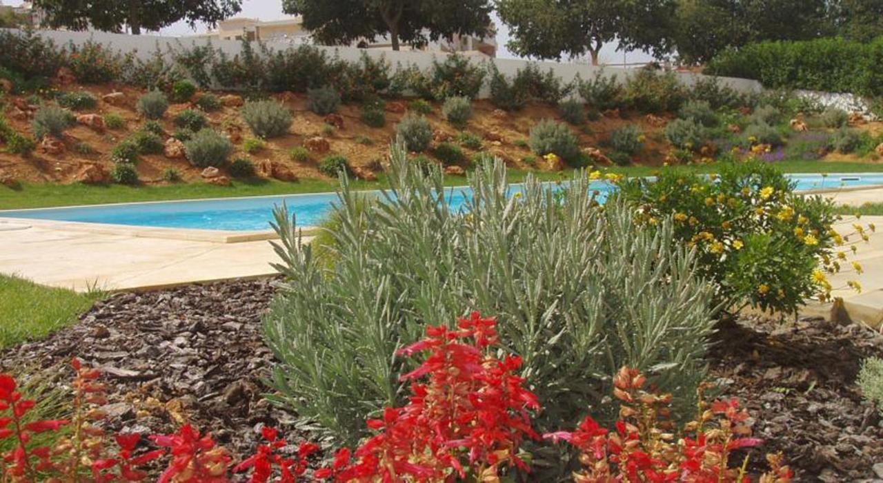 Flamingo Apartments Portimão Dış mekan fotoğraf